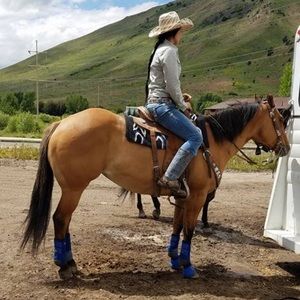 Meet your Posher, Felicia